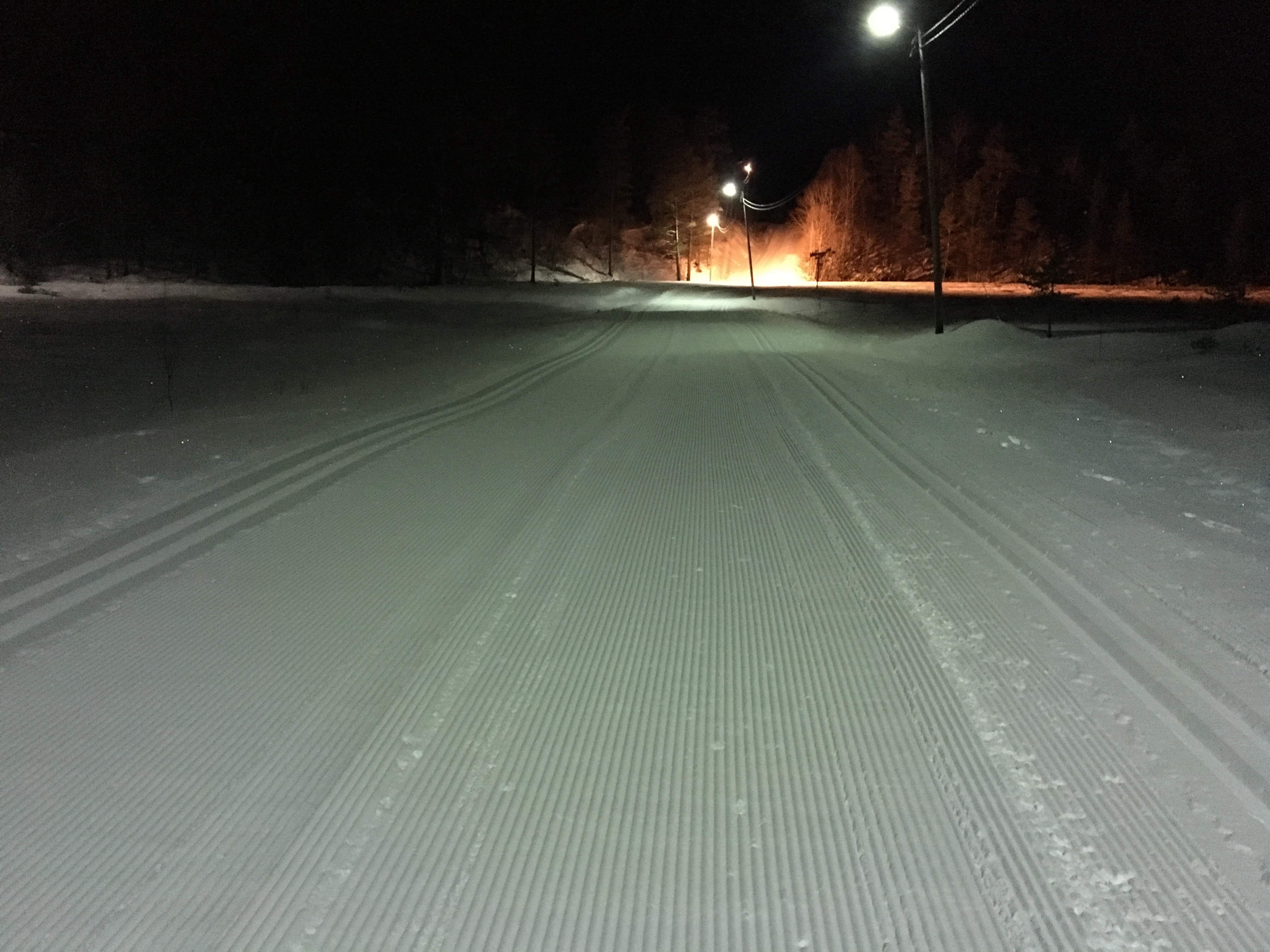 Barn i løypa 2020- starter 8. januar
